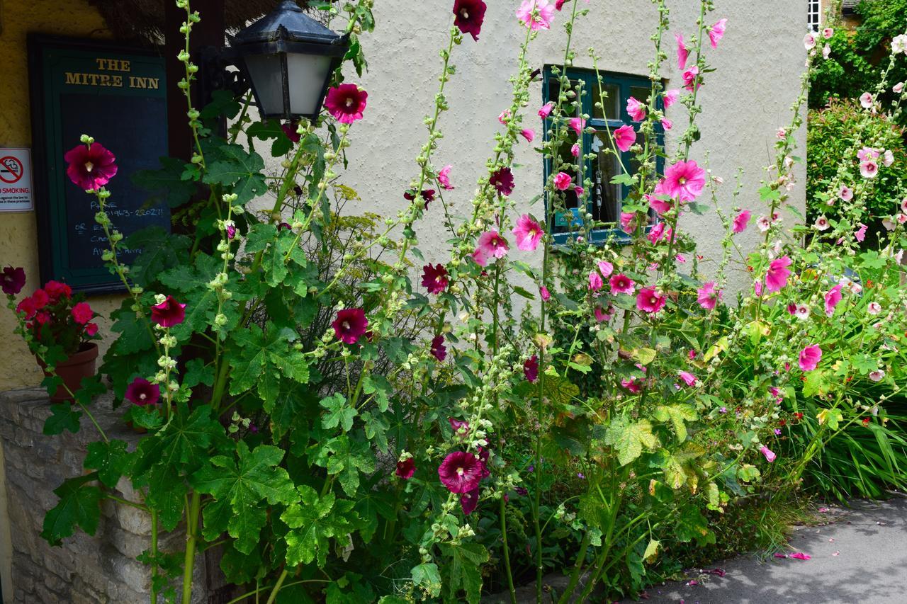 The Mitre Inn Sherborne  Esterno foto